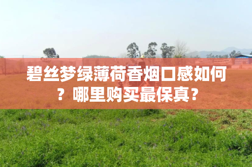碧丝梦绿薄荷香烟口感如何？哪里购买最保真？